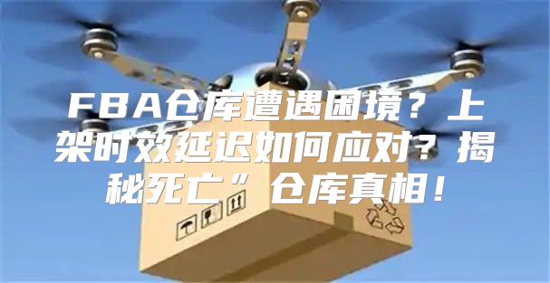 FBA仓库遭遇困境？上架时效延迟如何应对？揭秘死亡”仓库真相！