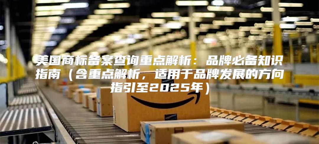 美国商标备案查询重点解析：品牌必备知识指南含重点解析，适用于品牌发展的方向指引至2025年