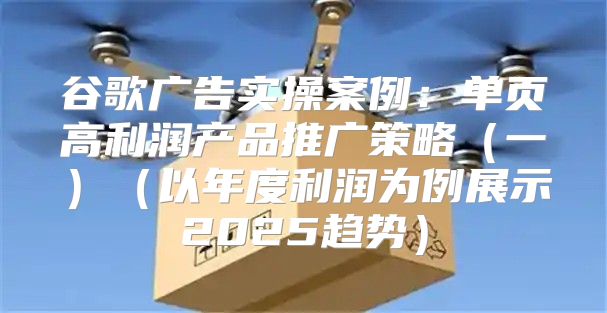 谷歌广告实操案例：单页高利润产品推广策略一以年度利润为例展示2025趋势