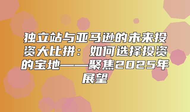 独立站与亚马逊的未来投资大比拼：如何选择投资的宝地——聚焦2025年展望