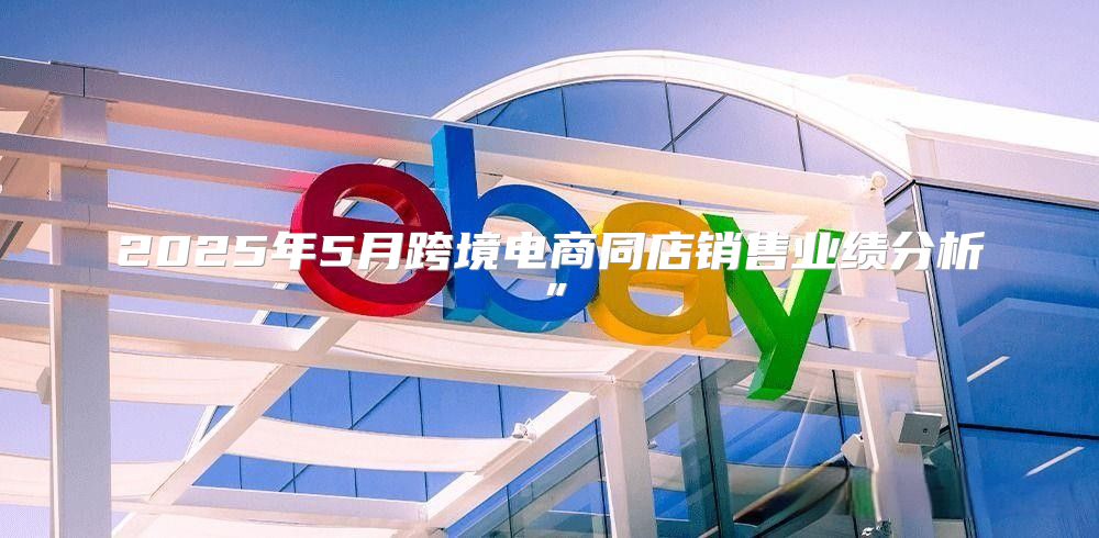 2025年5月跨境电商同店销售业绩分析”