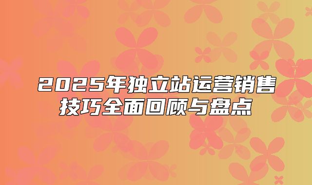2025年独立站运营销售技巧全面回顾与盘点