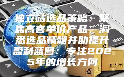 独立站选品策略：聚焦高客单价产品，洞悉选品精髓并助提升盈利蓝图：专注2025年的增长方向