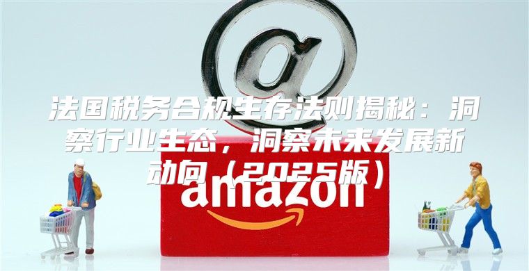 法国税务合规生存法则揭秘：洞察行业生态，洞察未来发展新动向2025版