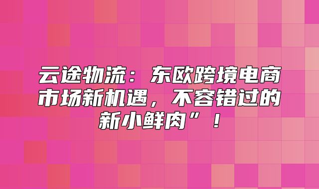 云途物流：东欧跨境电商市场新机遇，不容错过的新小鲜肉”！