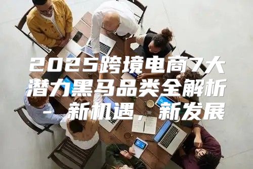 2025跨境电商7大潜力黑马品类全解析 - 新机遇，新发展