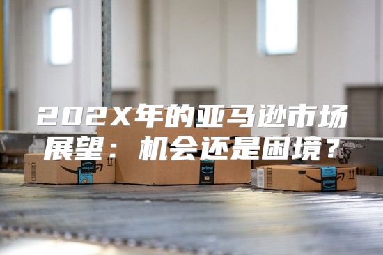 202X年的亚马逊市场展望：机会还是困境？