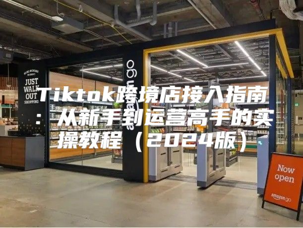 Tiktok跨境店接入指南：从新手到运营高手的实操教程2025版