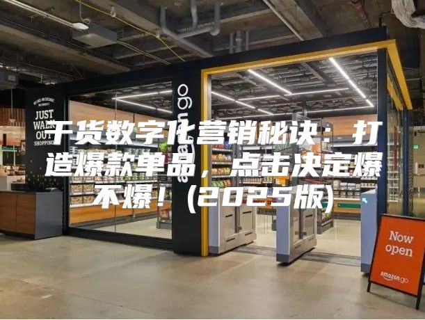 干货数字化营销秘诀：打造爆款单品，点击决定爆不爆！(2025版)