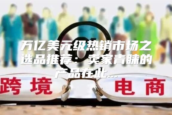 万亿美元级热销市场之选品推荐：卖家青睐的产品在此...