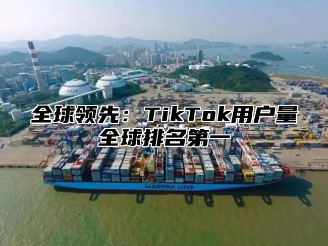 全球领先：TikTok用户量全球排名第一