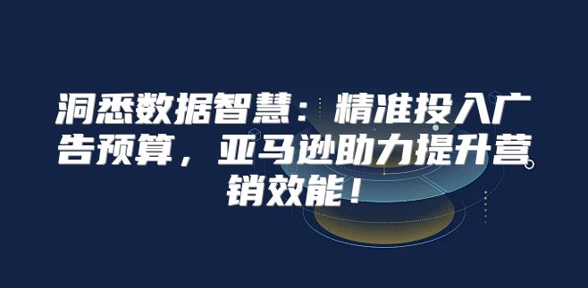 洞悉数据智慧：精准投入广告预算，亚马逊助力提升营销效能！