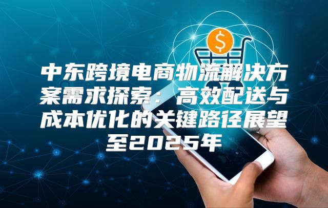中东跨境电商物流解决方案需求探索：高效配送与成本优化的关键路径展望至2025年