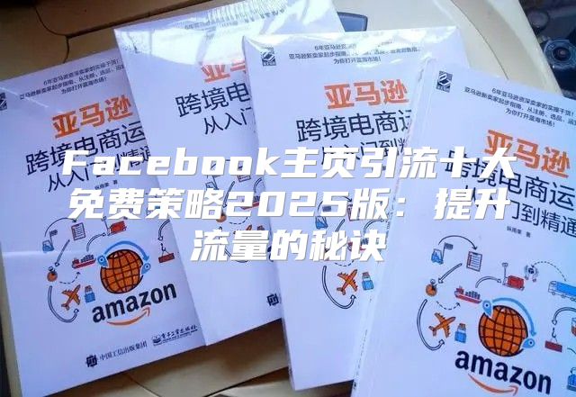 Facebook主页引流十大免费策略2025版：提升流量的秘诀