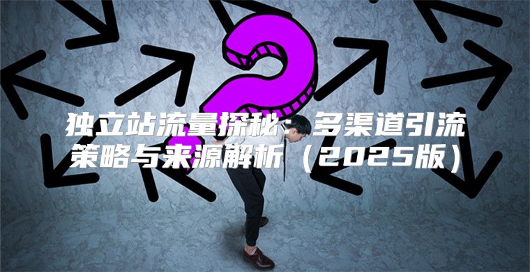 独立站流量探秘：多渠道引流策略与来源解析2025版