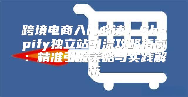 跨境电商入门必读：Shopify独立站引流攻略指南：精准引流策略与实践解析