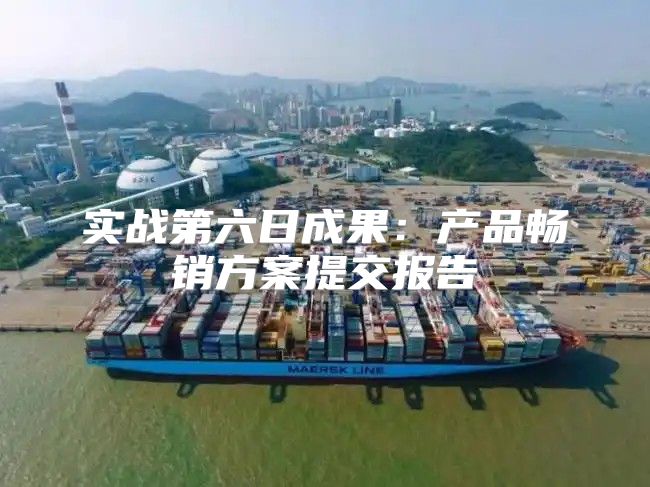 实战第六日成果：产品畅销方案提交报告