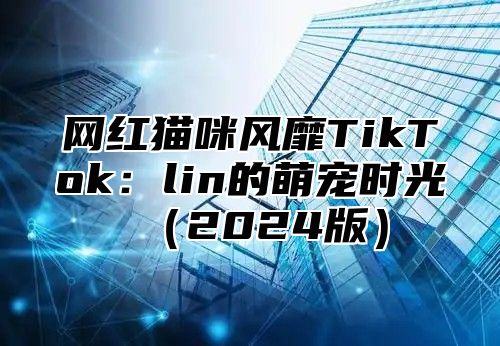 网红猫咪风靡TikTok：lin的萌宠时光2025版