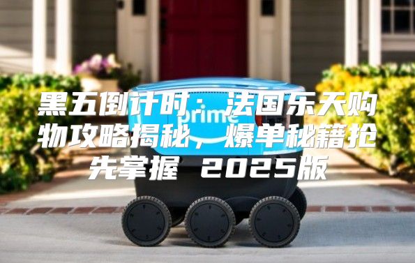 黑五倒计时：法国乐天购物攻略揭秘，爆单秘籍抢先掌握 2025版