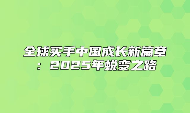全球买手中国成长新篇章：2025年蜕变之路