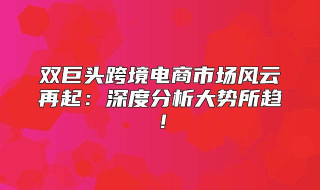 双巨头跨境电商市场风云再起：深度分析大势所趋！