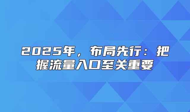 2025年，布局先行：把握流量入口至关重要