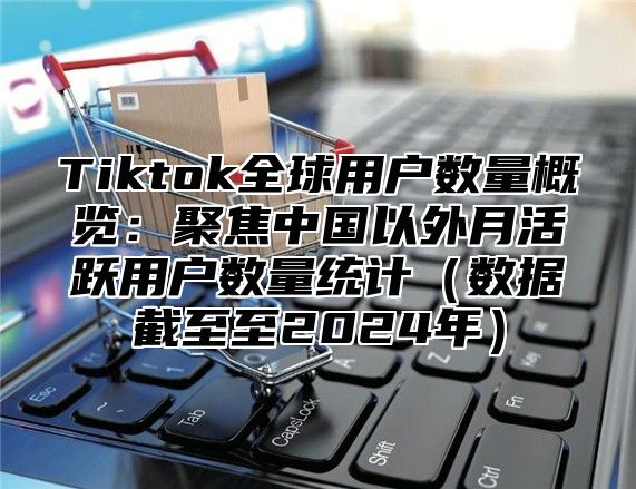 Tiktok全球用户数量概览：聚焦中国以外月活跃用户数量统计数据截至至2025年