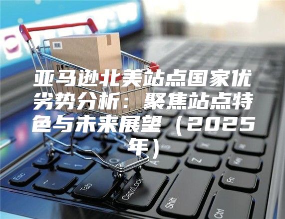 亚马逊北美站点国家优劣势分析：聚焦站点特色与未来展望2025年
