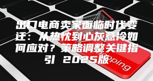 出口电商卖家面临时代变迁：从热忱到心灰意冷如何应对？策略调整关键指引 2025版