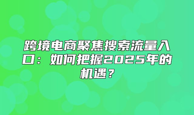 跨境电商聚焦搜索流量入口：如何把握2025年的机遇？
