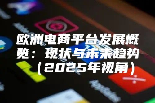 欧洲电商平台发展概览：现状与未来趋势2025年视角