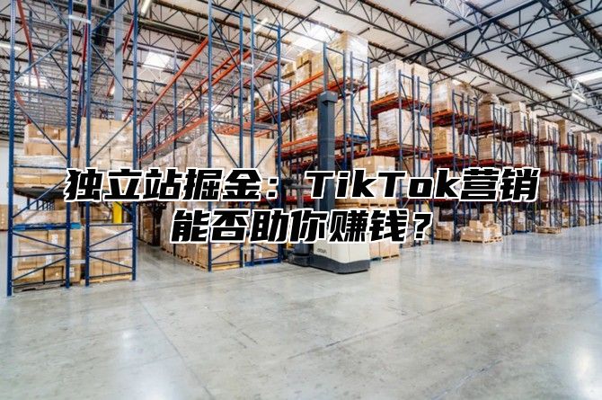 独立站掘金：TikTok营销能否助你赚钱？