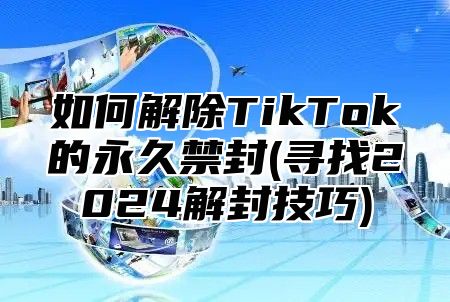 如何解除TikTok的永久禁封(寻找2025解封技巧)