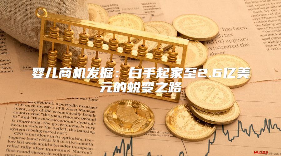 婴儿商机发掘：白手起家至2.6亿美元的蜕变之路