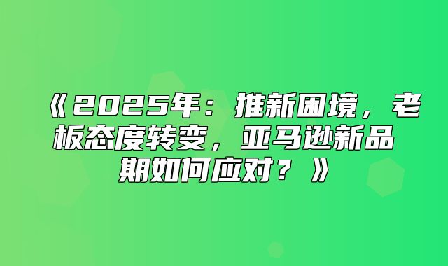 2025年：推新困境，老板态度转变，亚马逊新品期如何应对？