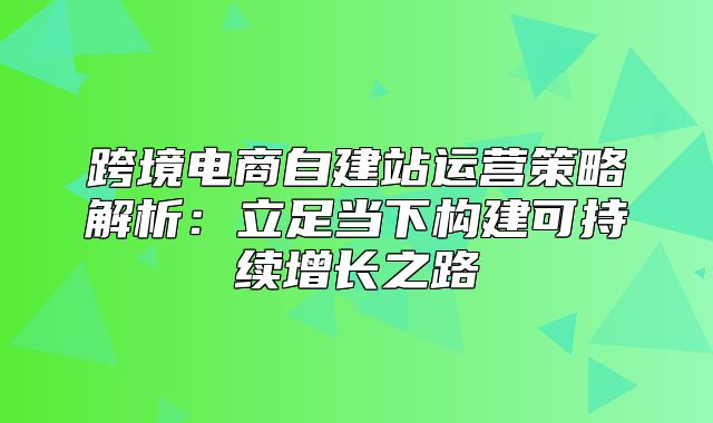 跨境电商自建站运营策略解析：立足当下构建可持续增长之路