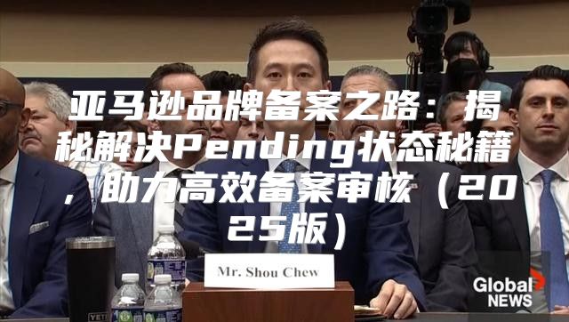 亚马逊品牌备案之路：揭秘解决Pending状态秘籍，助力高效备案审核2025版