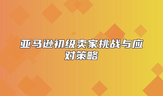 亚马逊初级卖家挑战与应对策略