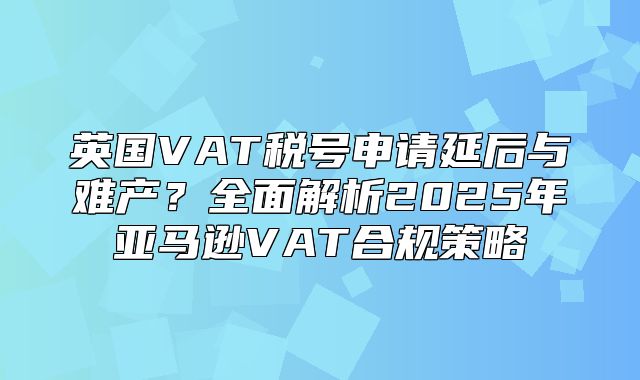英国VAT税号申请延后与难产？全面解析2025年亚马逊VAT合规策略
