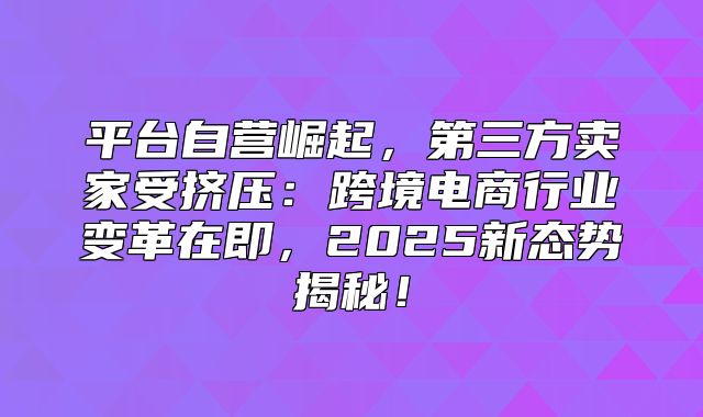 平台自营崛起，第三方卖家受挤压：跨境电商行业变革在即，2025新态势揭秘！