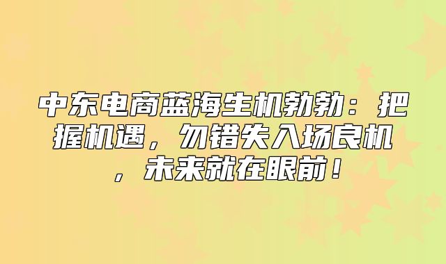 中东电商蓝海生机勃勃：把握机遇，勿错失入场良机，未来就在眼前！