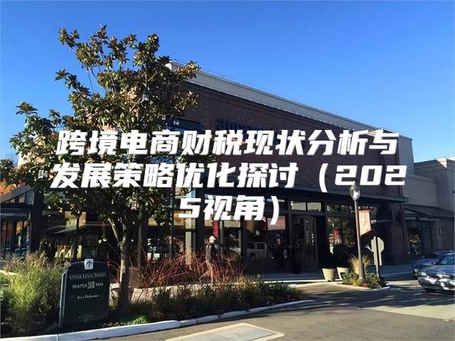 跨境电商财税现状分析与发展策略优化探讨2025视角