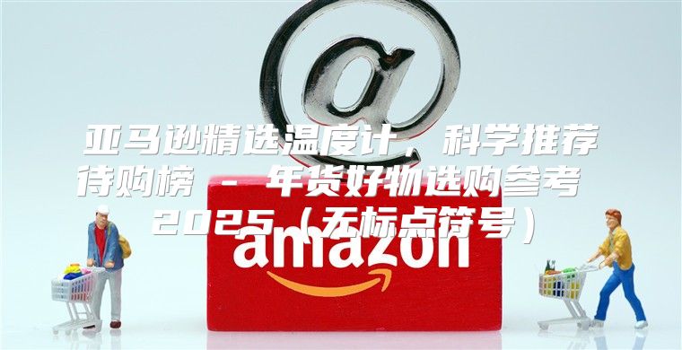亚马逊精选温度计，科学推荐待购榜 - 年货好物选购参考 2025无标点符号