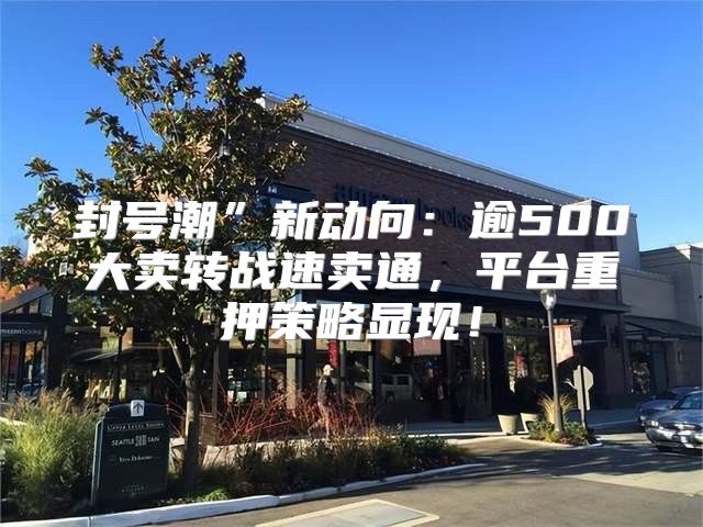 封号潮”新动向：逾500大卖转战速卖通，平台重押策略显现！
