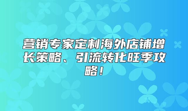 营销专家定制海外店铺增长策略、引流转化旺季攻略！