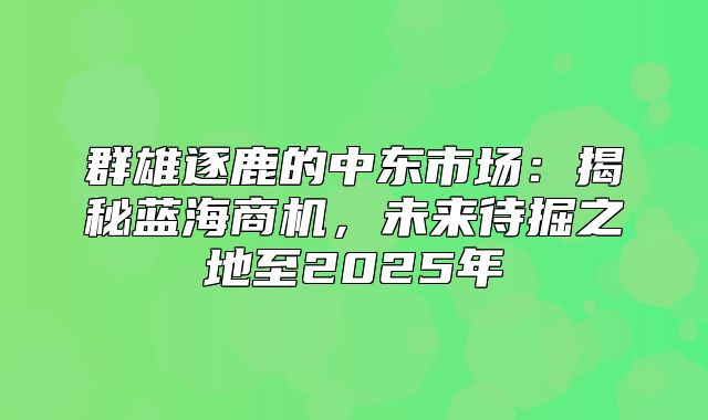 群雄逐鹿的中东市场：揭秘蓝海商机，未来待掘之地至2025年