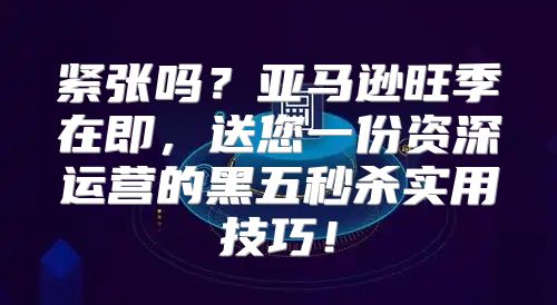 紧张吗？亚马逊旺季在即，送您一份资深运营的黑五秒杀实用技巧！