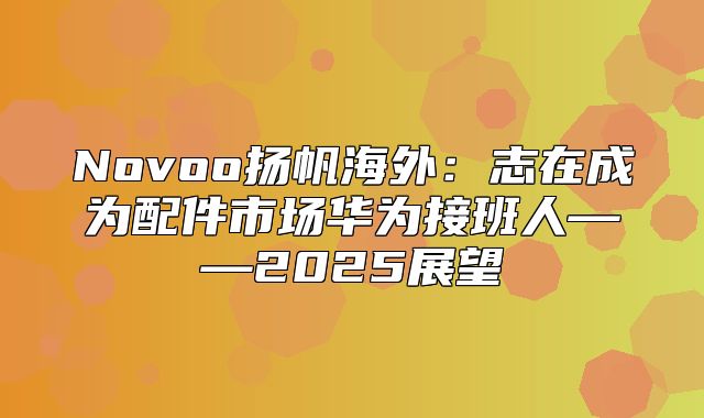 Novoo扬帆海外：志在成为配件市场华为接班人——2025展望
