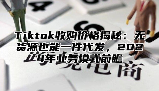 Tiktok收购价格揭秘：无货源也能一件代发，2025年业务模式前瞻