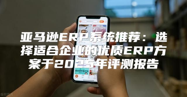 亚马逊ERP系统推荐：选择适合企业的优质ERP方案于2025年评测报告